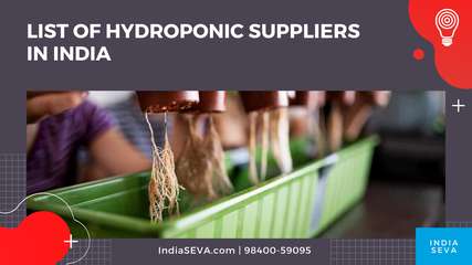 List of Hydroponic Suppliers in India